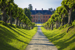Schloss Bothmer